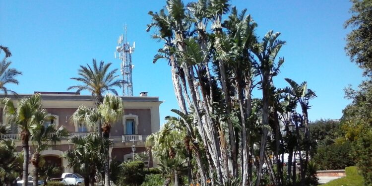 Villa Grazia, Storia e Cultura