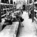 Edith Bruck. Dopo Auschwitz.
