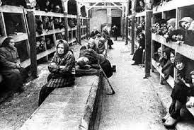 Edith Bruck. Dopo Auschwitz.