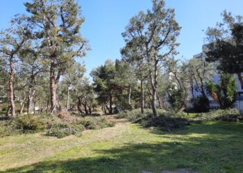 Il Parco di Via Grandi, un Cavallo di Troia ?