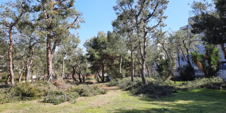 Il Parco di Via Grandi, un Cavallo di Troia ?