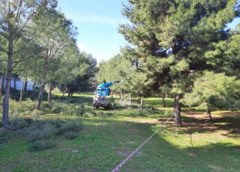 Pineta di Via Grandi-Ariosto. Fatti e misfatti. Solemare e Comune.