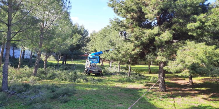 Pineta di Via Grandi-Ariosto. Fatti e misfatti. Solemare e Comune.