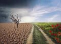 I cambiamenti climatici e i ritardi del governo