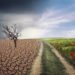 I cambiamenti climatici e i ritardi del governo