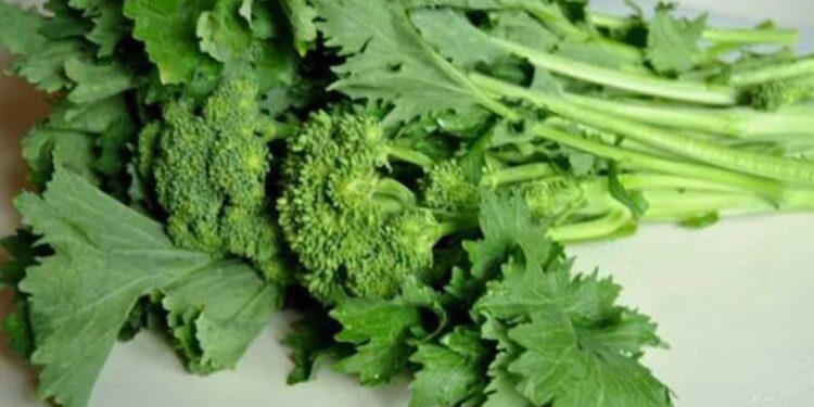 Nutrizione e stili di vita. Per vivere una lunga e sana esistenza e combattere alcuni tumori.