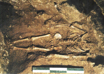 Bimbo di 17.000 anni fa ritrovato nella Grotta delle Mura di Monopoli.