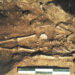 Bimbo di 17.000 anni fa ritrovato nella Grotta delle Mura di Monopoli.