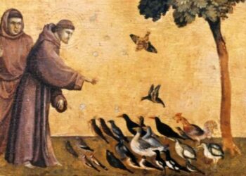 Compie 800 anni il “Cantico delle Creature” di San Francesco d’Assisi