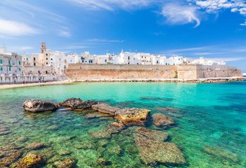 Carissimi lettori di Monopoli Tre Rose, Buon Anno.